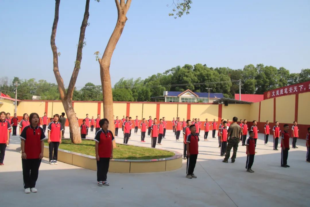 1751447462329709.jpeg image17.jpeg