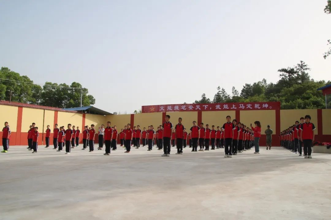 1753328335136544.jpeg image6.jpeg