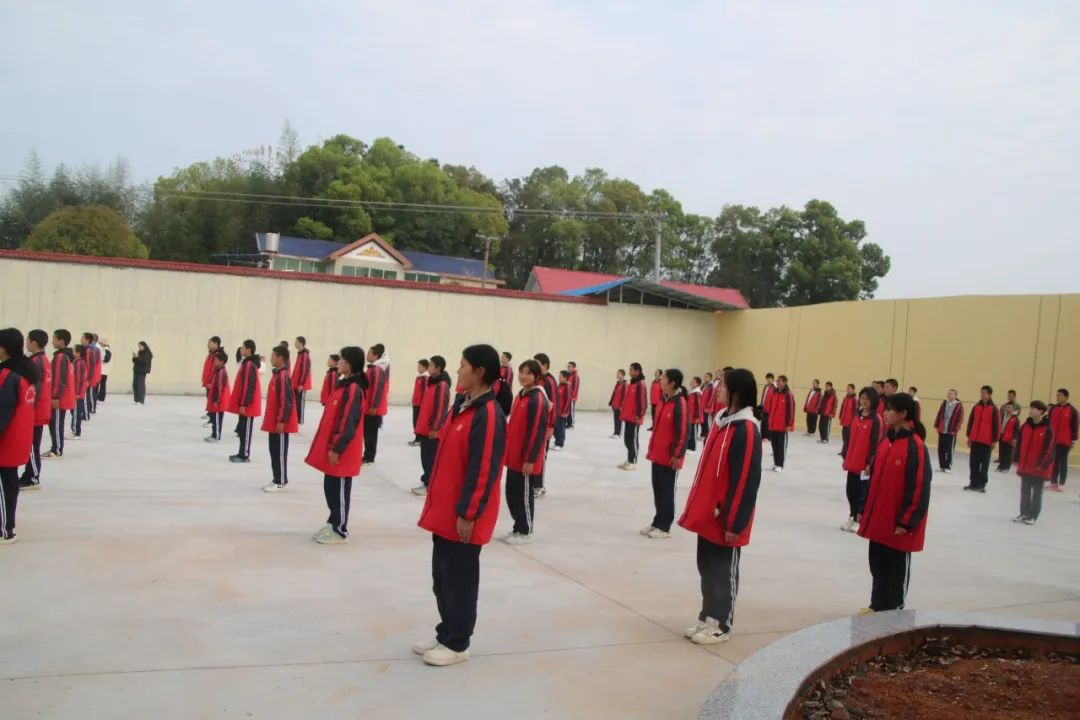 1753839456612299.jpeg image13.jpeg